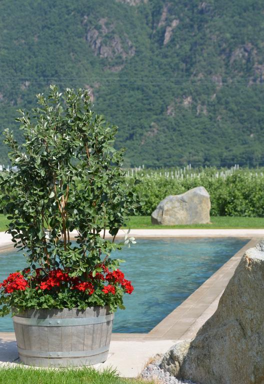 Villa Vera Ora / Auer المظهر الخارجي الصورة